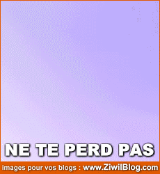 Ne te perd pas